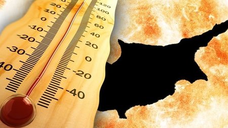 cats_gsJWYKe.width-750