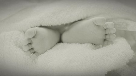 97d3788f-6137-4d1c-8784-43d7bc932db7.width-750