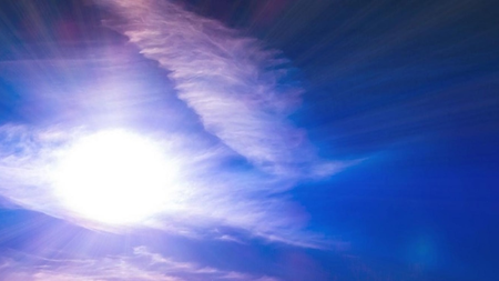 8cc12c1b-b2a1-4159-ac18-07365b0cf31c.jpg