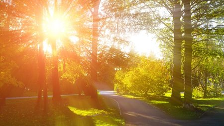 shutterstock_443705008-768x510