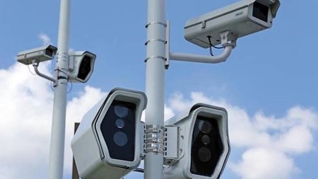 cats_hMRu7kL.width-750