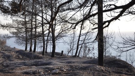 3ae3ec0326f530a6c0033668b78e565c