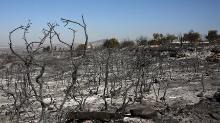 DOC.20230807.5350842.01FL20