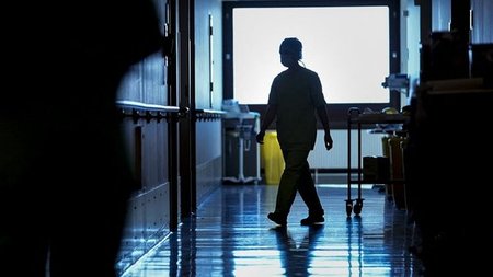 cats_V1dBRLX.width-750