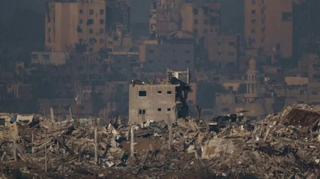 AP24096696577813-768x512-1-732x412