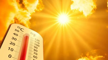 a006ed91d1241d669a0ace176a877127