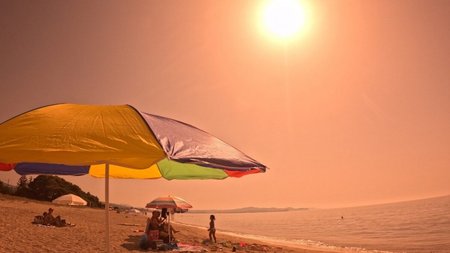 kausonas-4.2e16d0ba.fill-1375x729