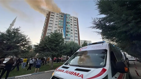 mixcollage-06-jun-2025-05-49-am-7046