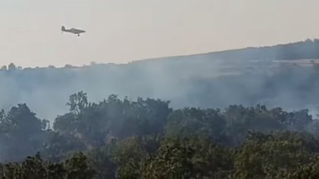 Screenshot-2023-08-19-131624