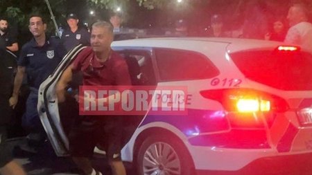 cats_6mK4oSk.width-750