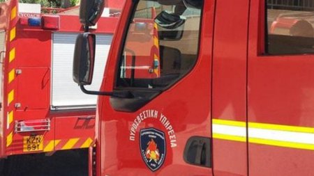 15.12_PUROSBESTIKE.original