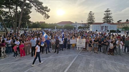 cats_IeF6ExW.width-800