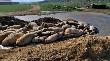 475088419_1646075729314151_132860806841819959_n