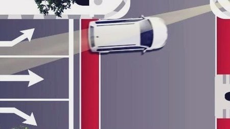 cats.width-750.width-750 (1)