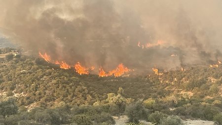 364229730_1713708679071825_1285535176635480345_n