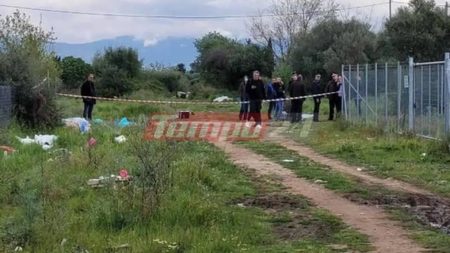 339752880_582925860480202_3145946740799250450_n_0