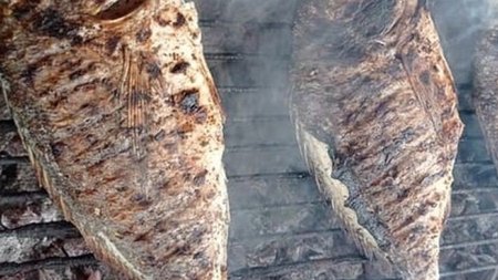 875_ce458310-b7f8-4bd1-97ca-7f25aef207e6