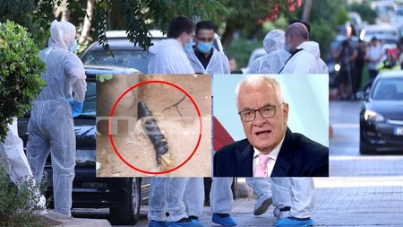 vomva-pretenteris-exo11