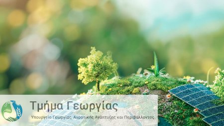 tmimageorgias
