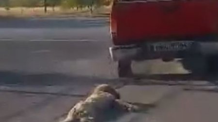 449140855_1025515882491663_5932817344691778816_n