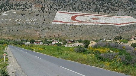 cats_1eRUkCJ.width-750