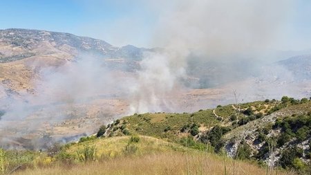 Purkagia.--780x405.width-750