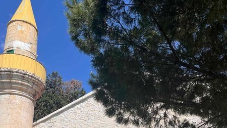 cats_3Ih0GgD.width-750