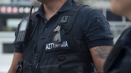 cats_m84U7Yn.width-750