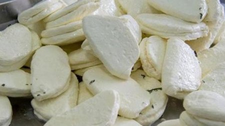 b_xalloumi_1.width-750