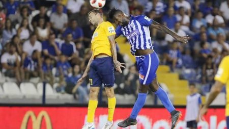 anorthosi-ael