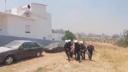 arthrou-astinomia-fiales