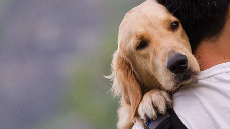 327a7a45-9533-42e4-abfe-b977307d44d1.jpg