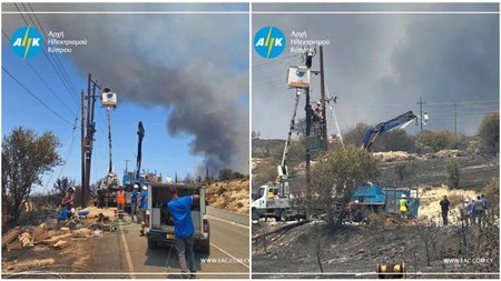 MixCollage-25-Jul-2025-08-32-AM-8000